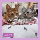 위드냥