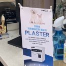 수락동물병원 이미지