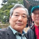 탑코리아세무법인 이미지