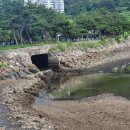 선소바다 이미지