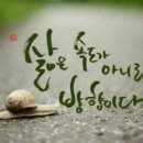 유평초교 이미지
