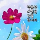 @ 두고두고 써먹게~ 챙겨두자 생활의 지혜 이미지