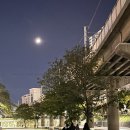 영광온천장 | ☕나에게 주는 한 잔의 쿨타임— 모모스커피 온천장점 현장 토크쇼 후기