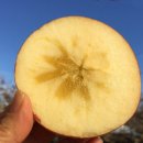 마장1리 마을회관 이미지