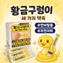 황금가방 | 황금구렁이 내돈내산 후기 차전자피 식이섬유 추천
