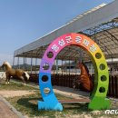 홍성군승마장 이미지