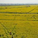 지하철강서구청역 이미지