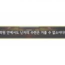 닌닌