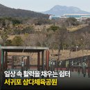 공설운동장 다목적경기장(체육이외행사) | 제주 일상 속 활력을 채우는 쉼터 서귀포 삼다체육공원 정보 및 시설 안내