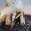 굿모닝메디칼시스템 이미지