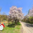 만사농장 이미지