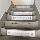 💍 우리 둘만의 순간을 담은 부산 웨딩스냅 후기 🎥 을숙도, 다대포에서 춘광과의 감성 가득 웨딩 촬영...