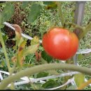 시골산장 이미지