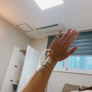 신촌연세퀸산부인과의원 이미지