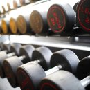 짐에스(GYM-S)