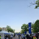 현대자동차삼전점 | SK하이닉스, 삼전 주식 주는 키움런 10K 후기 │ 코스·운영·기록까지 깔끔했던 도심 러닝 대회