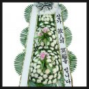 대전화환