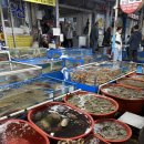 진우수산 이미지