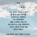 문해력쑥쑥글쓰기 이미지