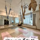 광주광산서비스(주) | [광주 첨단] 광주 요가, 첨단 요가, 광산구 요가 : 발리요가 플라잉 첨단점