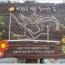 사십도 이미지