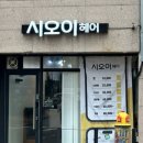 롯데캐슬아파트 정문~땅끝교회 | 대구 평리동 미용실 뽀글뽀글 중단발 히피펌 &#39;시오이헤어&#39;