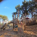 중앙공원 | 🌳 파주 교하 중앙공원 놀이터 후기 — 자연형 숲놀이터라 아이가 오래 노는 곳