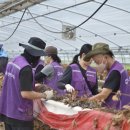 논산축산 이미지