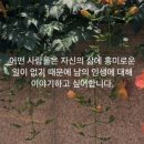 하논의 아침 | 첨단 카페 대형 크리스마스 트리가 있는 “카페 하논” | 분위기 좋은 감성 포토존 | 첨단 데이트 코스...