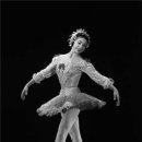 발레리나 이미지