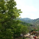 마포농원 이미지