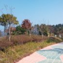 양지암 조각공원 이미지