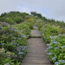 표선면-7 이미지