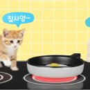 앤(N)고양이병원 이미지