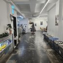 플레인띵스 이미지