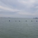 부강수산 이미지