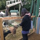 호박목장 이미지