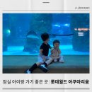 이준열대어 | 서울 잠실 아이랑 가기 좋은 곳 롯데월드몰 실내 데이트 : 롯데월드 아쿠아리움