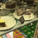 프롬더어스(FROM THE EARTH) 이미지