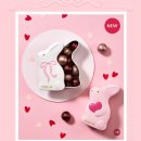 스타벅스 김해가야로DT점 | 스타벅스 발렌타인 MD 가격표｜러브바니 텀블러·머그·담요.초콜릿 정리