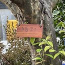 두희농장 이미지