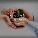 삼계닭도매 이미지