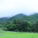 봉복사 - 1354 | 봉복사