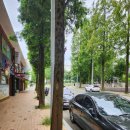 3대만족본점 이미지