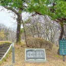 인창중앙공원(산책로) 이미지