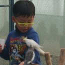 녹동중앙어린이집 이미지