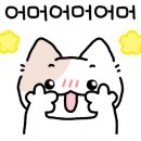 고양이묭실 네이버블로그