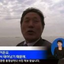 김치파이브 이미지