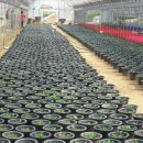 희명농장 이미지