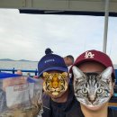 연안부두로 | 쭈갑철이 돌아왔다~~연안부두로 쭈꾸미낚시가기, (인천제일바다낚시 후기, 7물 쭈꾸미, 쭈꾸미 시력)